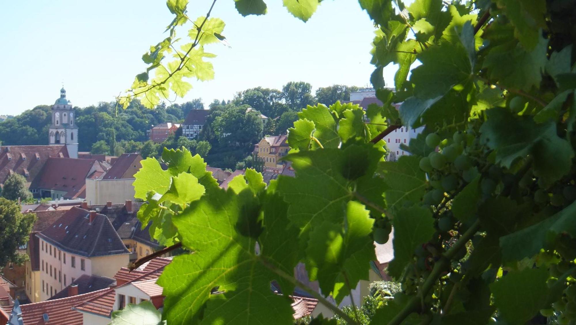 Meißen Hotel Schlossberg מראה חיצוני תמונה