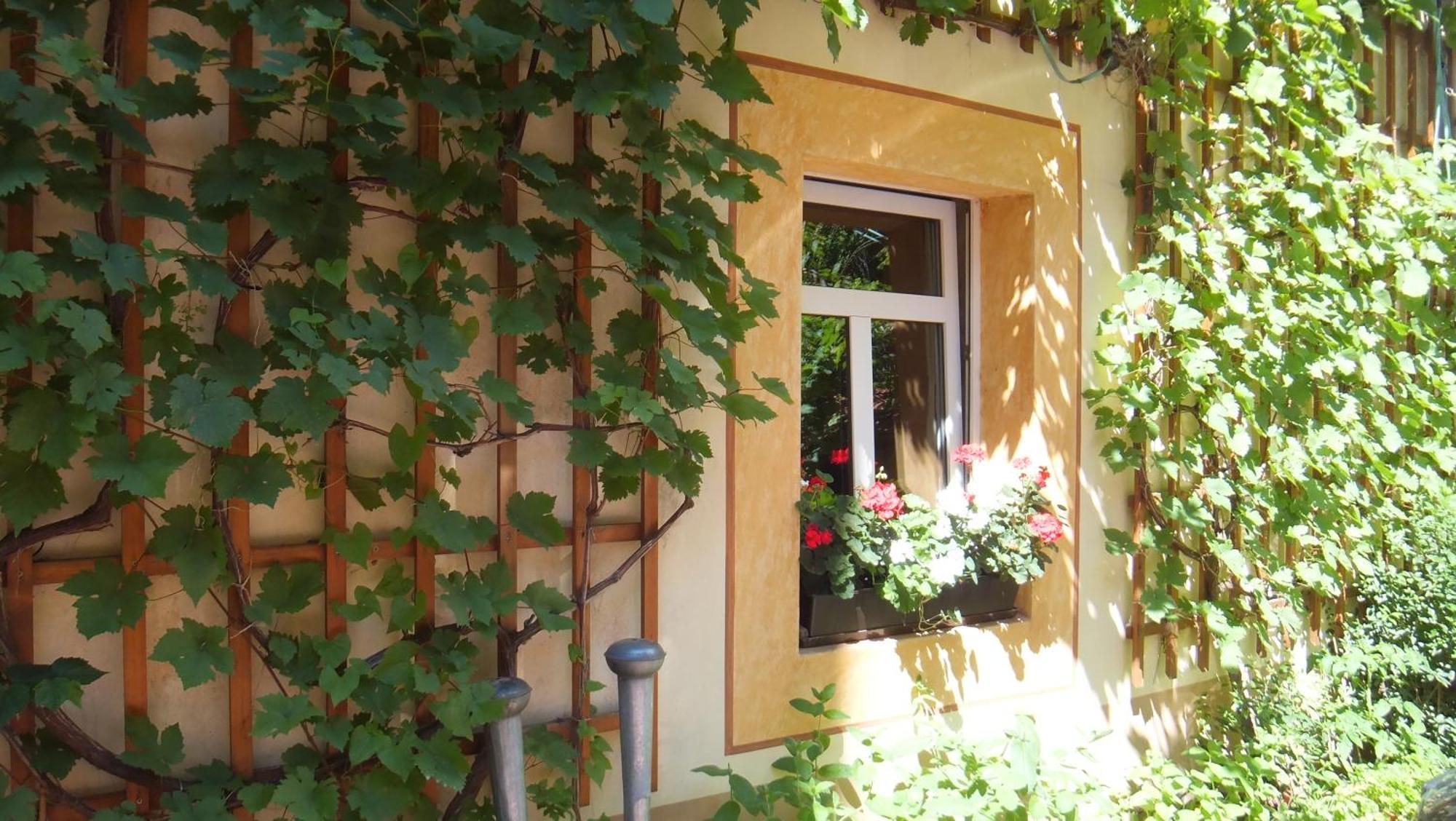 Meißen Hotel Schlossberg מראה חיצוני תמונה